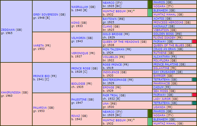 kalamoun pedigree