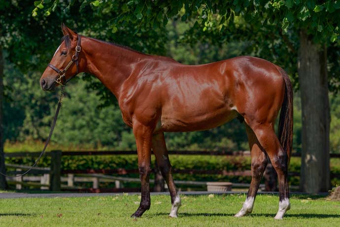 lot 152