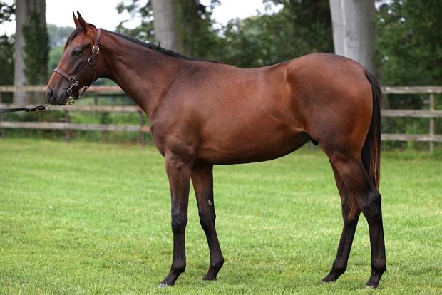 lot 165 BBAG