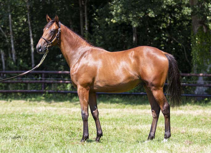 lot 391