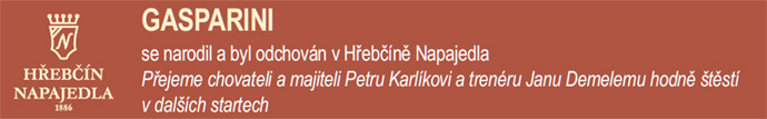 Gasparini banner