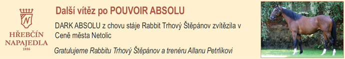 NN22 darkabsolu