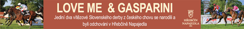 SK Derby Napajedla