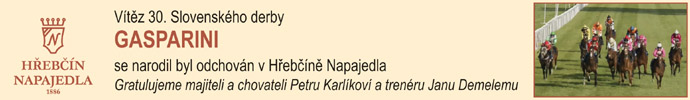 NN22 gasparini3