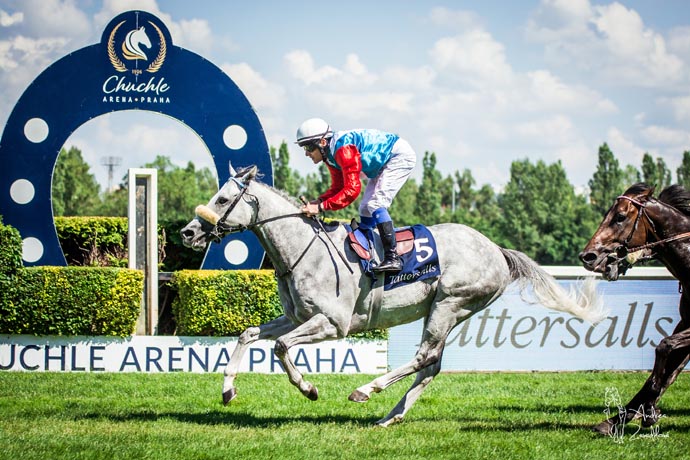 Politicum derbyday