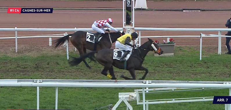 Sternkranz cagnes4