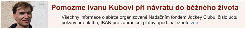 banner ivca