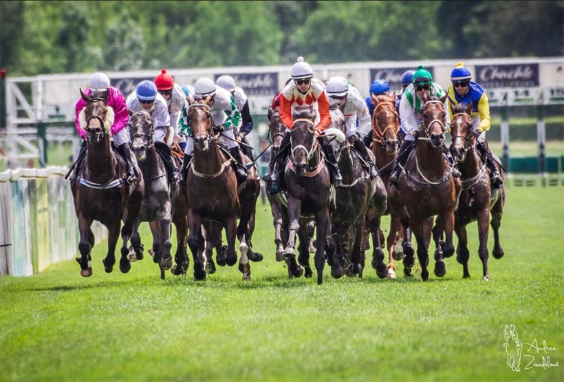 derby21