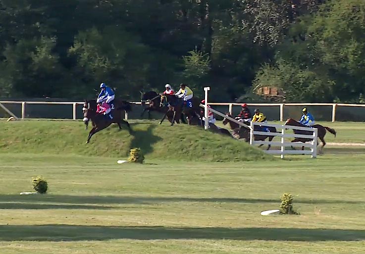 memorial evy palyzove22