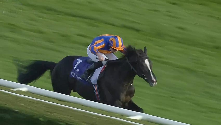 vertex futurity 22