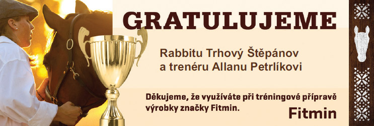 Gratulace rabbit