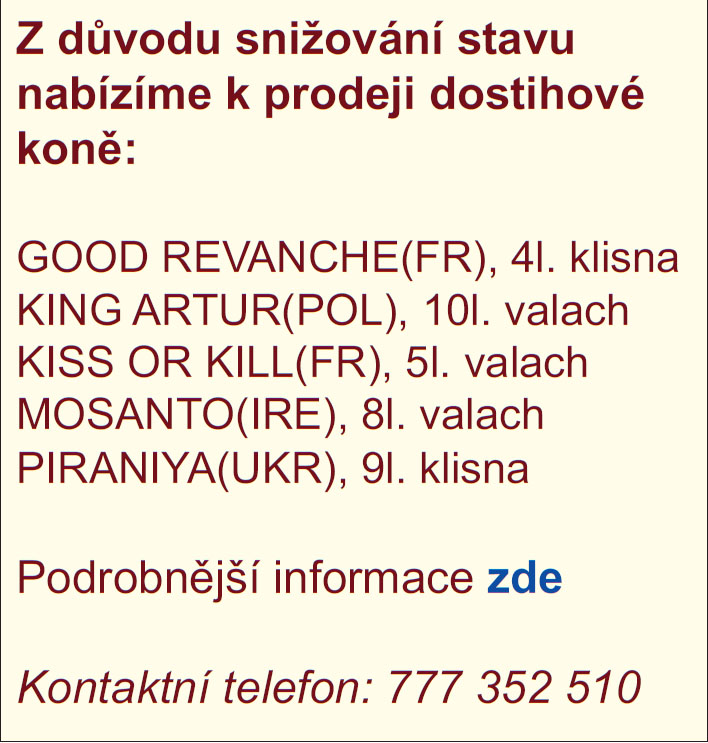 Inzerce vocetka