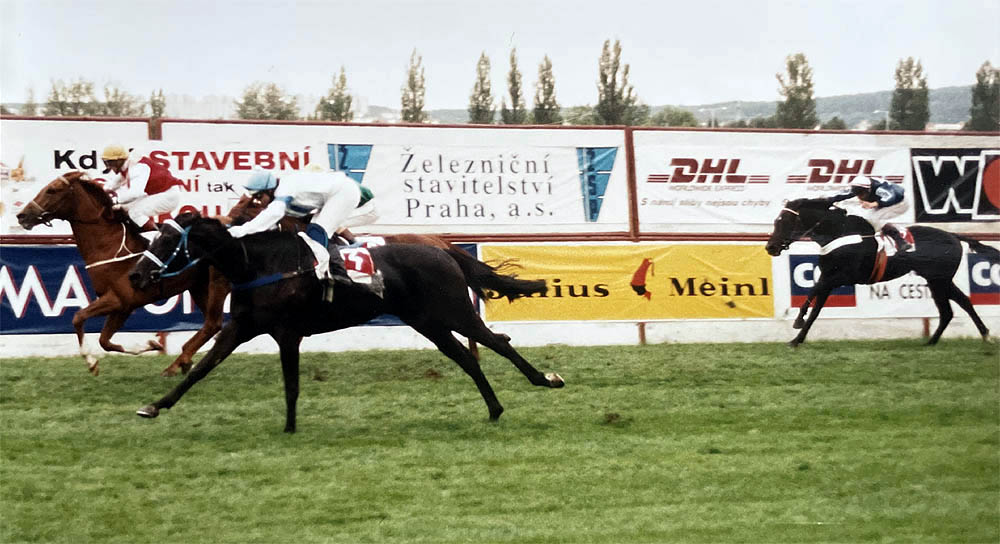 Polynesia stleger