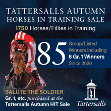 Tatts UK 2023 Autumn HIT Purchaser FITMIN 220px by 220px