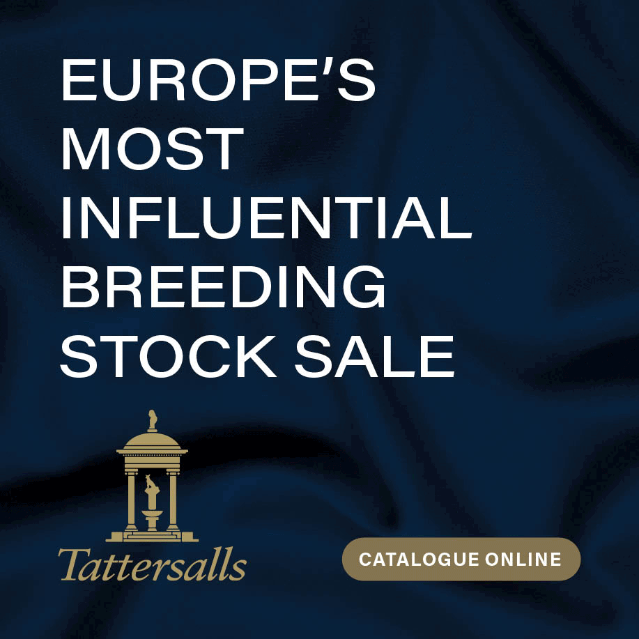 Tatts UK 2023 Mares Sale Fitmin Turf V2