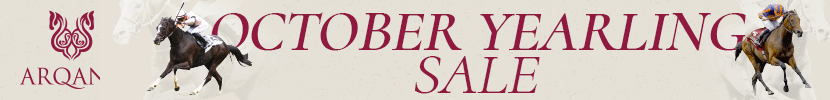 Arqana October 2023