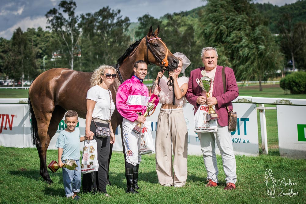 Oaks 24 ceny