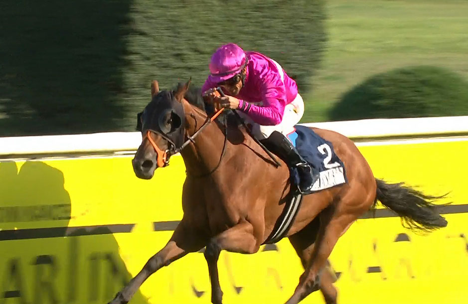 St Leger 2024