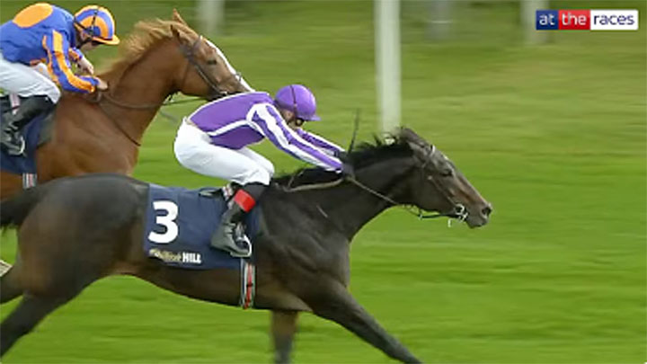 Futurity Trophy 2025