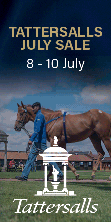 Tatts UK 2025 July Sale FITMIN TURF MPU