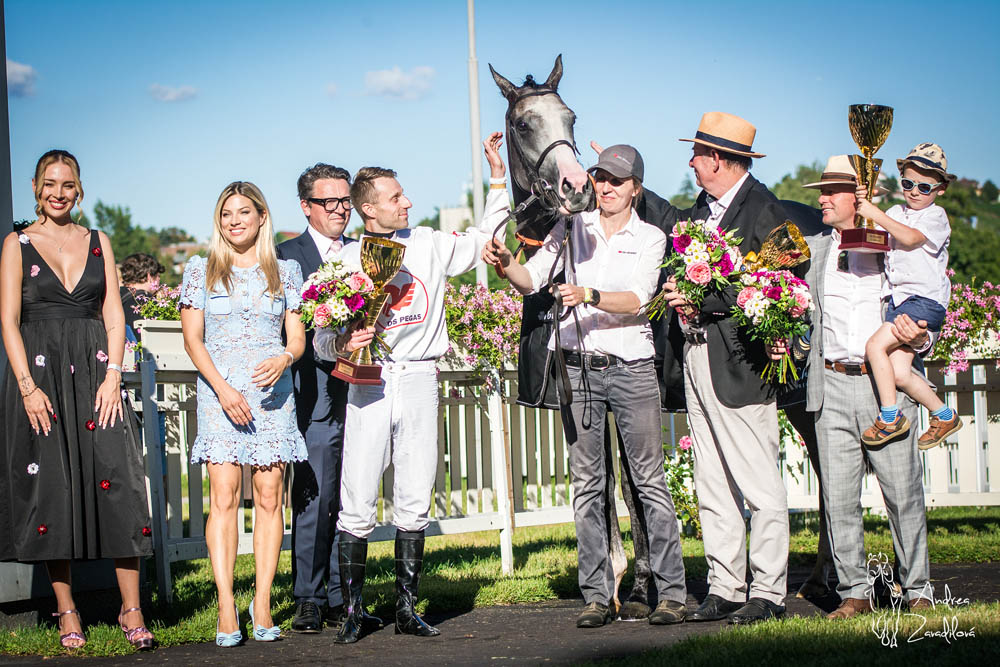 st leger 25 ceny