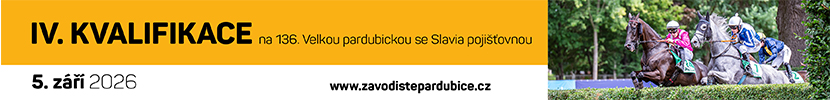 Pardubice 2026/6