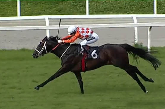 Ponntos PremioCertosa26